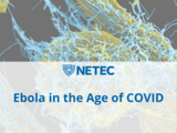 Ebola Webinar Series 