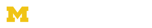 Division of Public Safety and Security