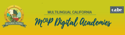 MCAP Digital Academies