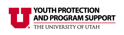 Youth Protection and Program Support