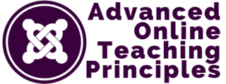 The Online Network of Educators: Online Teaching Principles