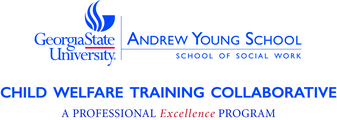 The Professional Excellence Program