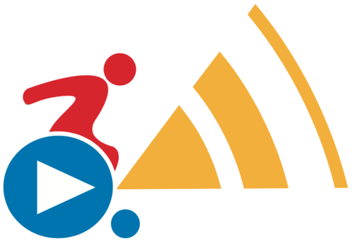 The Telehealth Wheelchair Service Provision Logo. An abstract illustration of a person in a wheelchair.