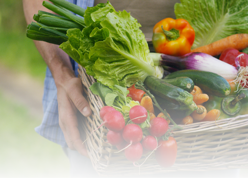 Basket of produce
